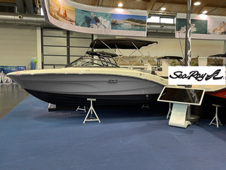 Sea Ray 190 SPXE - neues Modell BILD 1