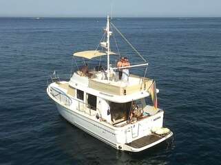 Beneteau Swift Trawler 34 BILD 1