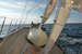 Classic Sailing Yacht BILD 8