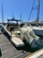Invictus Yacht Invictus 370 GTS BILD 5
